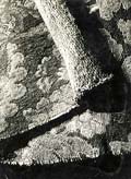 Milos Dohnany - Two Studies in Textile Textures