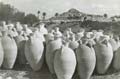 Anonymous - Amphoras