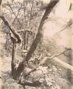 Porte Dauphine, Les Fosses des Fortifications