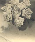 Fernand Dengremont - Roses