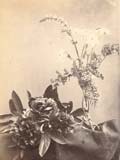 Anonymous (French) - Still Life of Flowers