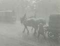Paul Freiberger - Horse and Wagon Meet Trolley Car in Snow