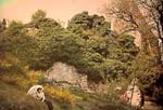 Anonymous - Woman with Parasol in Landscape of an Overgrown Ruin