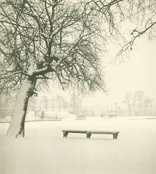 Tuileries Gardens, Paris