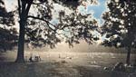 Jerry Spagnoli - Trees in Central Park