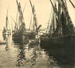 Fishing Boats at Anchor