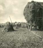 Harvest