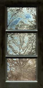 Jerry Spagnoli - Tree Study (Tryptic)