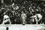 Karol Charles Kallay - Japanese Sumo Wrestlers