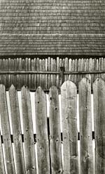 Karol Charles Kallay - Fence