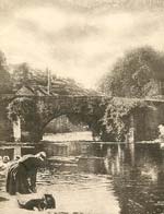 Washing Clothes by the River