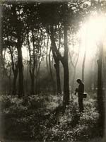 Tram-Dat-Chi - Self Portrait in Forest