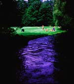 Joel D. Levinson - Untitled #109 (Green Grass and Dark Blue Waters)