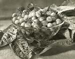 Cerises (Still Life of Cherries)