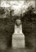 Christophe (Krzysztof) Pruszkowski - Dromos de Luqsor, 36 Sphinx, Egypt (Fotosinteza)