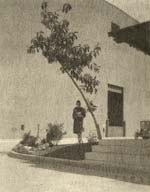 Sigismund Blumann - Bonnie beneath the Bough