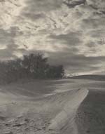 Floyd B. Evans - Dunes