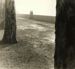 Th�o and Antoine Blanc & Demilly - Arbes (Trees and Lovers)
