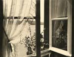 The Open Window
