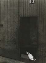 Le Chat (The Cat in the Doorway)