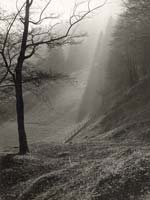 Morning Light, Germany