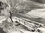 Snow Scene, Germany