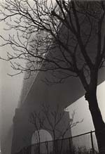Susan McCartney - 59th Street Bridge in Fog, New York City, NY