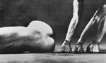 Eikoh Hosoe - Eikoh Hosoe: Flowers of Evil (Les Fleurs du Mal)