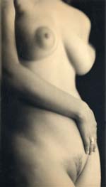 Charlie Schreiner - Torso (Female Nude)