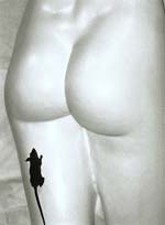 Marcel Marien - Chatouillement de D�esse