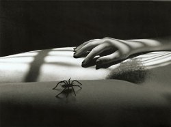 Marcel Marien - Strokers