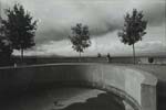 T. W. Sanders - Premonition
