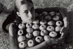 All My Apples, Baska