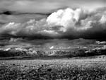 Mitch Dobrowner - Civilization, Los Angeles, CA