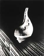 Barbara Morgan - City Shell