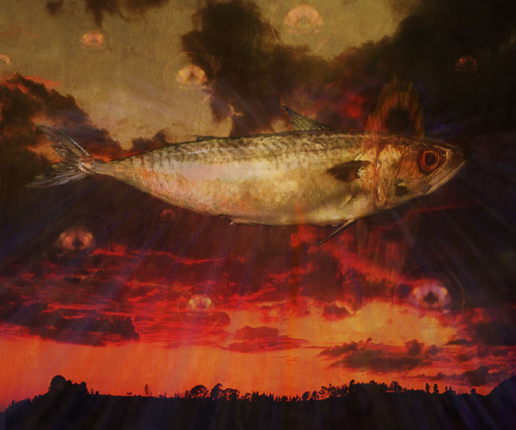 Claudia Kunin - Holy Mackerel Claudia Kunin - Holy Mackerel