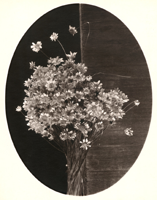 George A. Eisenman - Straw Flowers George A. Eisenman - Straw Flowers