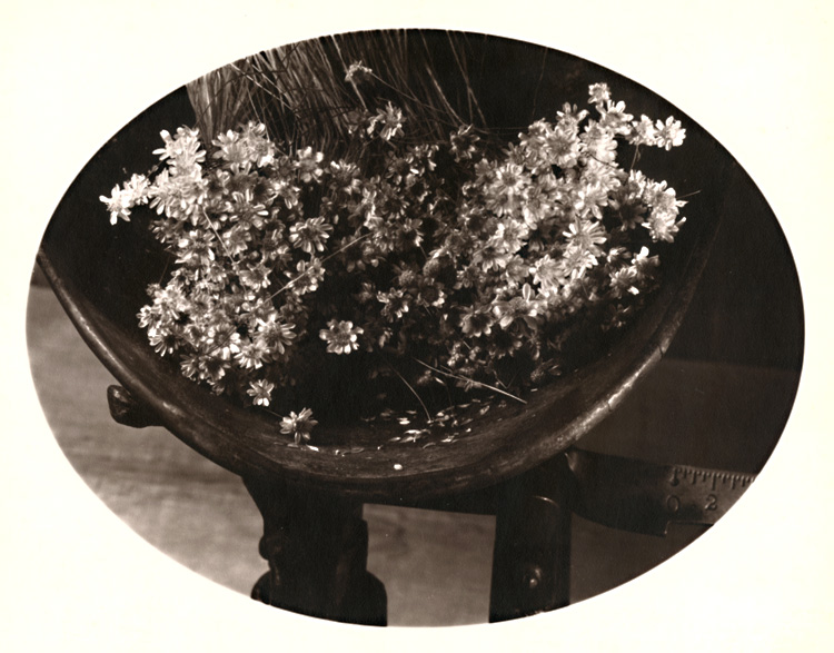George A. Eisenman - Still Life of Scale and Straw Flowers George A. Eisenman - Still Life of Scale and Straw Flowers