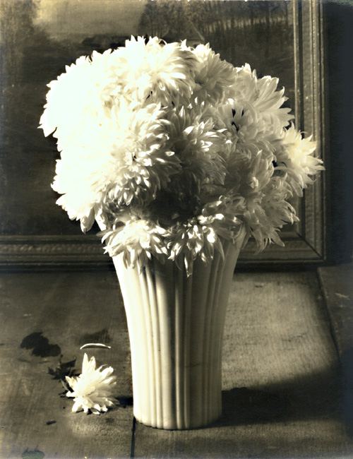 George A. Eisenman - Chrysanthemums