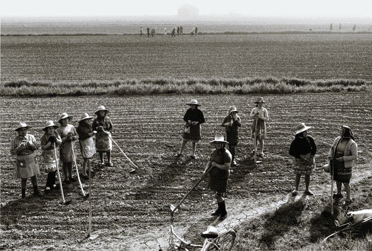 Gianni Berengo Gardin - Farm Women Hoeing the Earth, Italy Gianni Berengo Gardin - Farm Women Hoeing the Earth, Italy