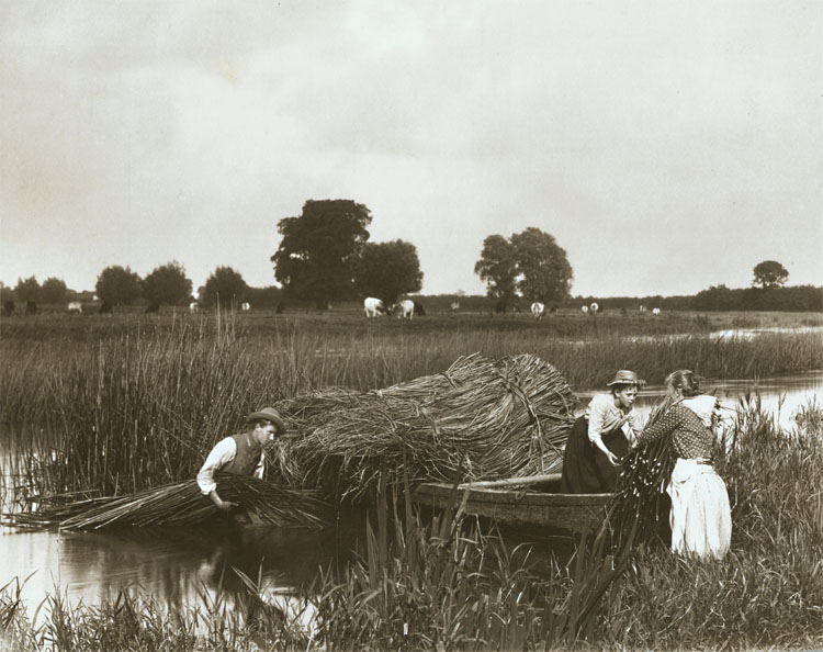Charles Smerdon Roe - Untitled (Sedge Gatherers)