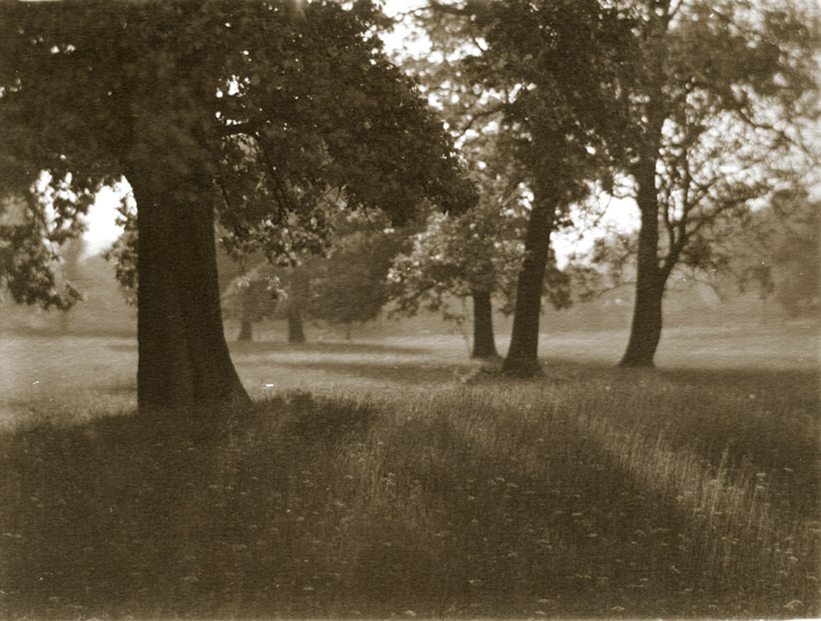 Francis Alfred Bolton - In June Francis Alfred Bolton - In June