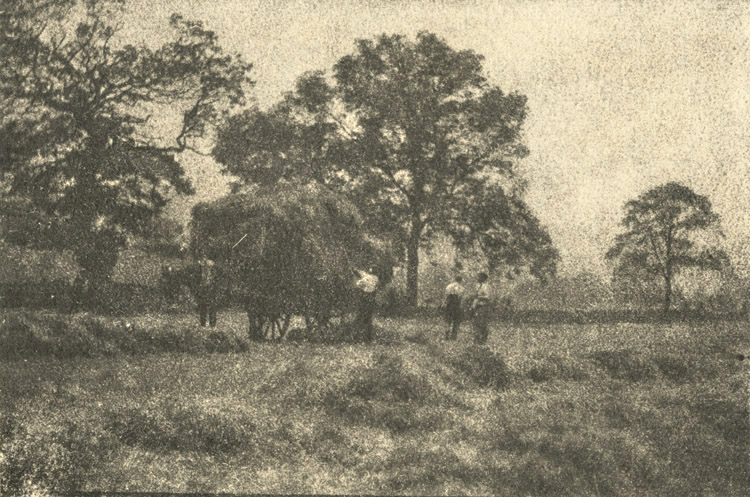 Francis Alfred Bolton - Haymaking Francis Alfred Bolton - Haymaking