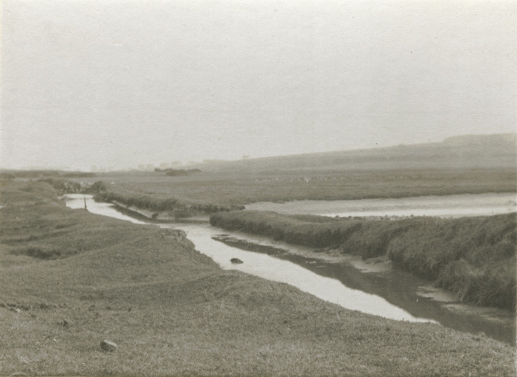 Francis Alfred Bolton - The Dyke Francis Alfred Bolton - The Dyke