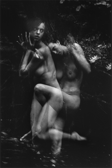 Michael Philip Manheim - Flight (From Mating Dance Series) Michael Philip Manheim - Flight (From Mating Dance Series)