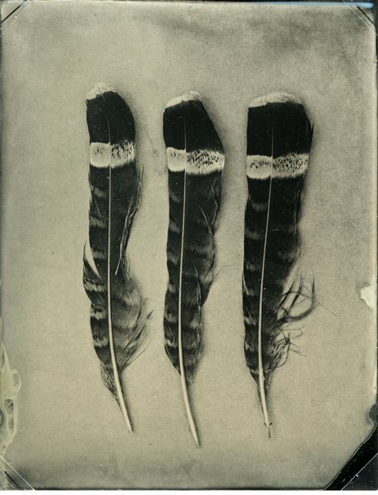 Ray Bidegain - Red Feathers and Blown Away, Dyptic Ray Bidegain - Red Feathers and Blown Away, Dyptic