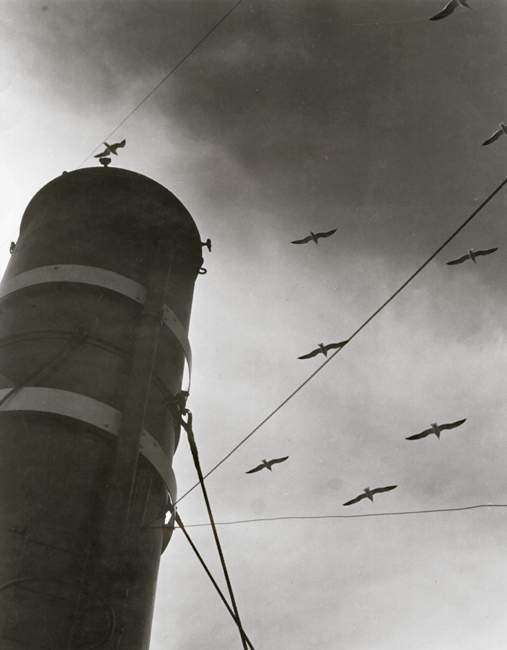 Jindrich Marco - Untitled (Ship's Smokestack and Gulls) Jindrich Marco - Untitled (Ship's Smokestack and Gulls)