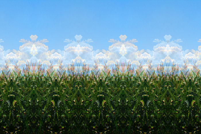 Photo Detail - Charlie Schreiner - Corn & Clouds (Mosaic)