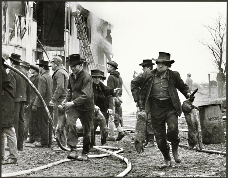 Barry Thumma - The Little Piggies Went to a Fire  (Amish Barn on Fire)