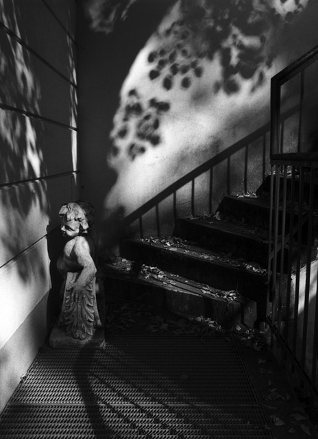 Photo Detail - Stanko Abadžic - Cherub in Shadows